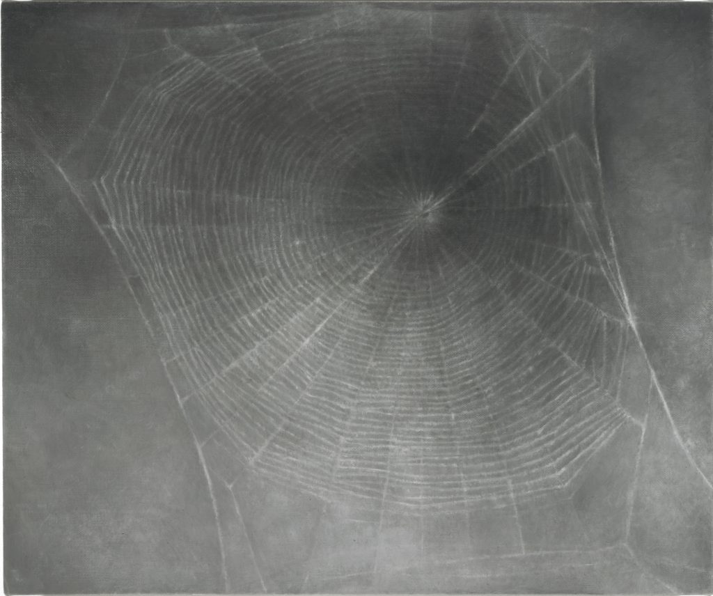 Web #3 by Vija Celmins