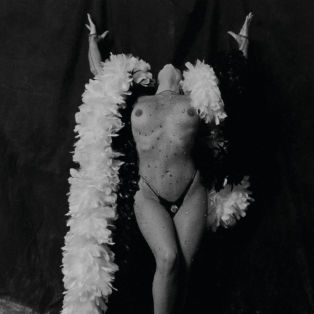 Image by Marcus Leatherdale