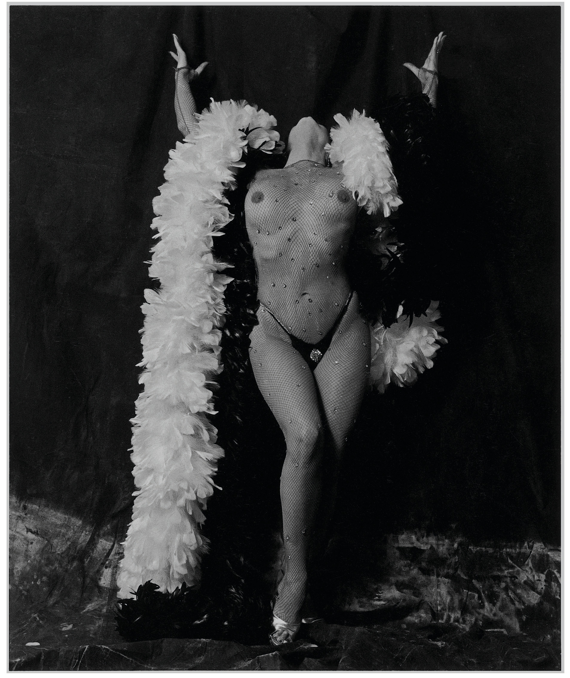 Image by Marcus Leatherdale