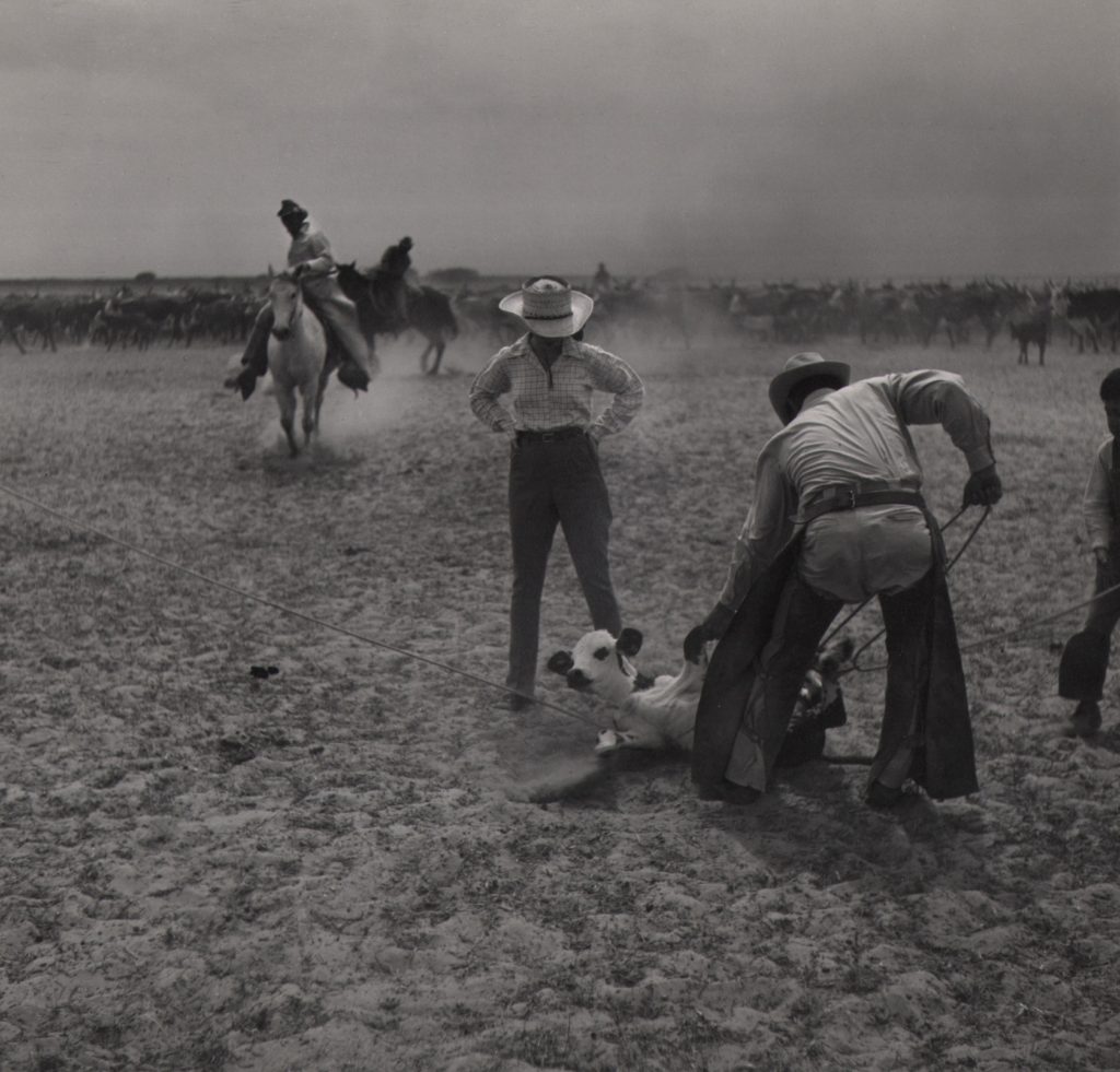 The King Ranch by Toni Frissell; courtesy of Keith de Lellis Gallery