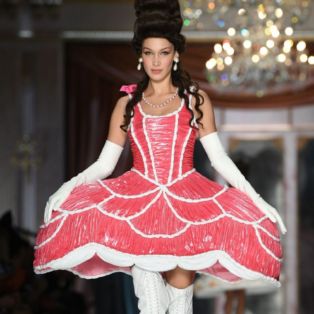 Bella Hadid in Moschino