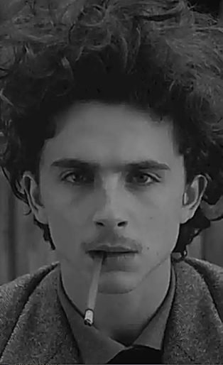 timothee chalamet the french dispatch