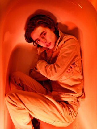 Timothee Chalamet by Ryan McGinley