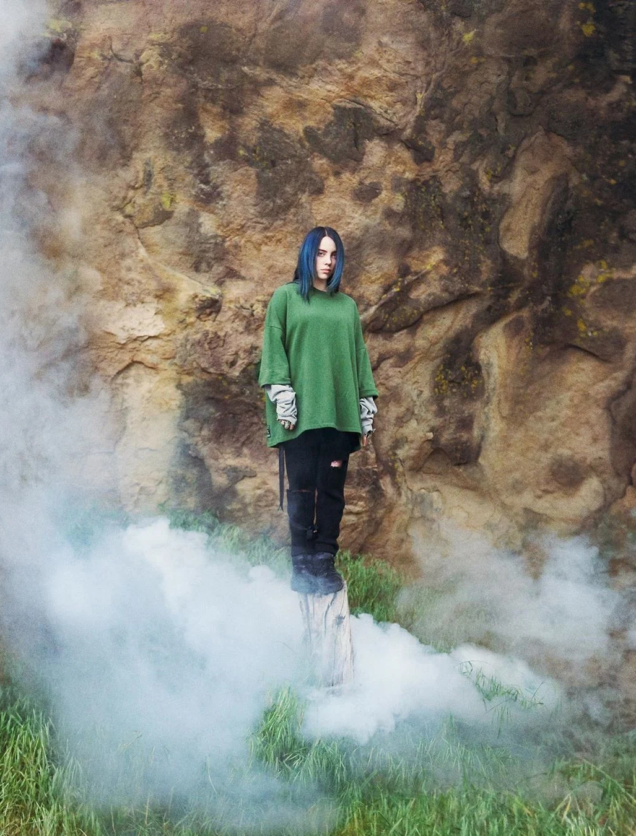 billie eilish ryan mcginley