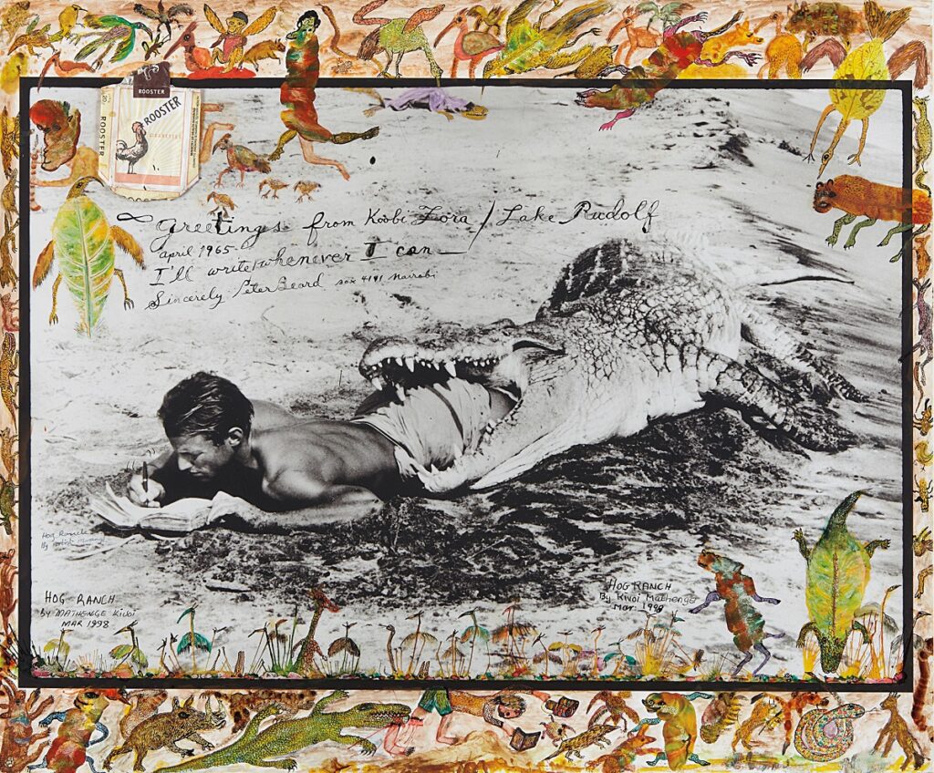I'll Write Whenever I Can - Peter Beard