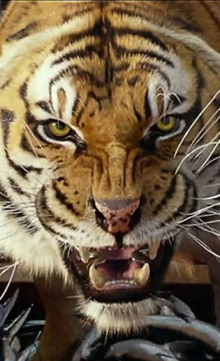 the life of pi tiger in boat