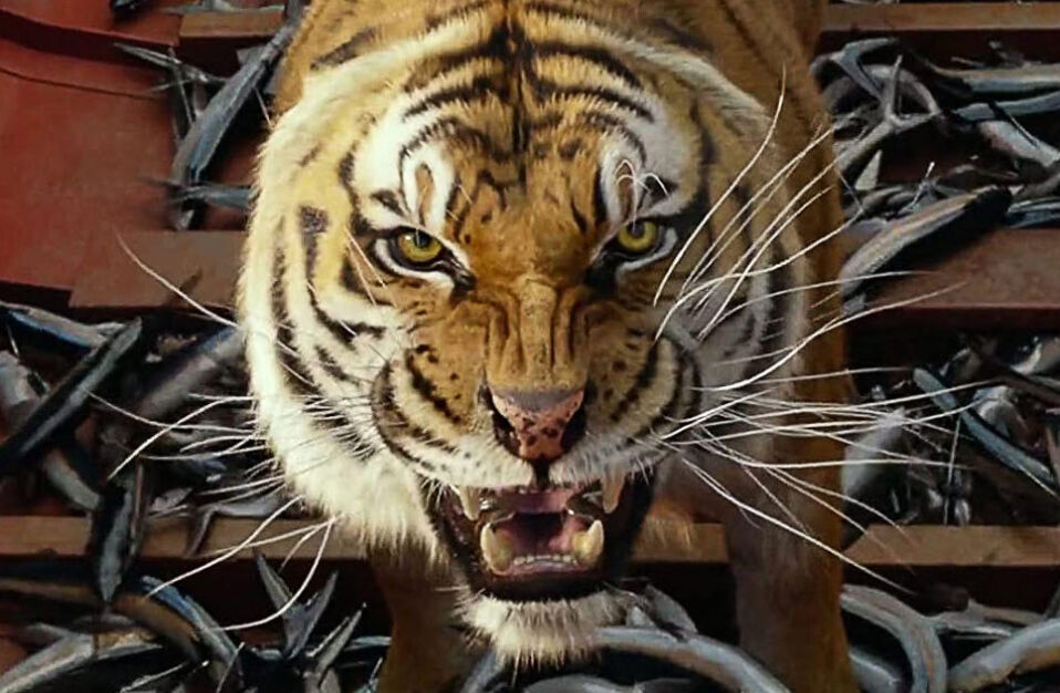 the life of pi tiger in boat