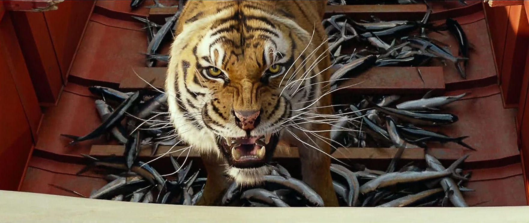 the life of pi tiger in boat