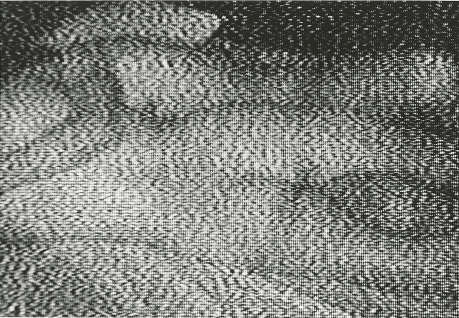 From Kohei Yoshiyuki: The Park, published by Radius Books | Yossi Milo © 2019. All images © Kohei Yoshiyuki.