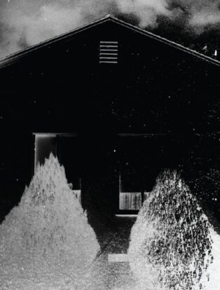 i'll be gone in the dark