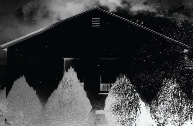 i'll be gone in the dark