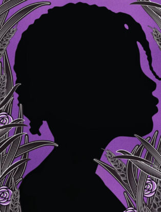 the color purple cover