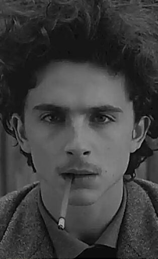 timothee chalamet the french dispatch
