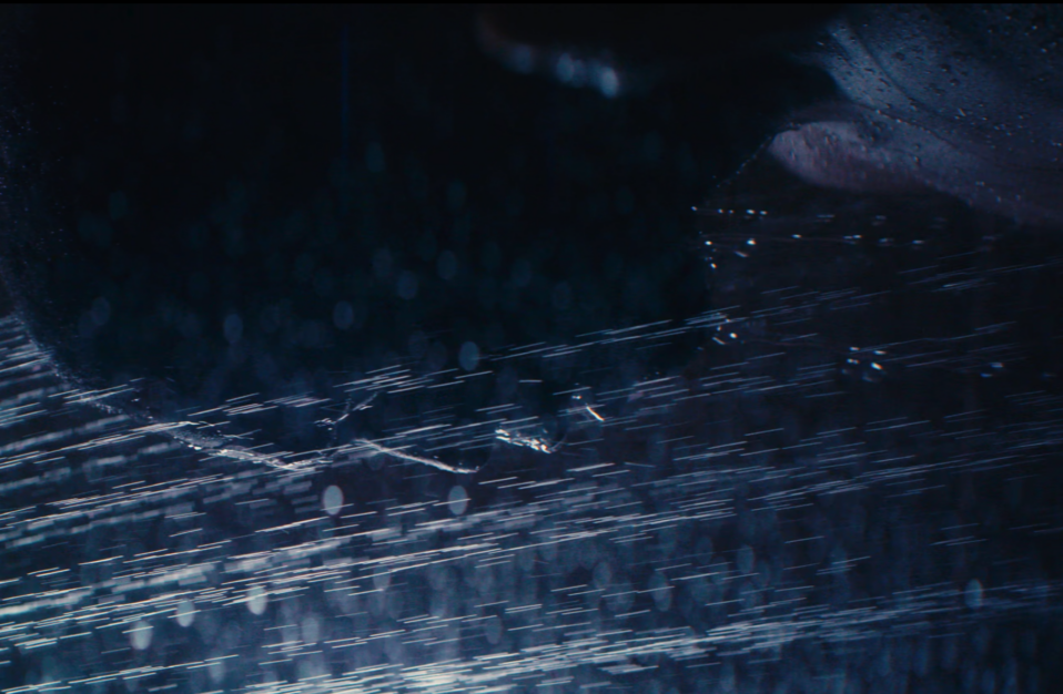 portrait of a black man