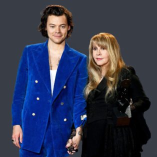harry styles and stevie nicks