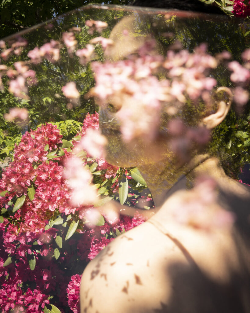 All The Rhododendron, Cig Harvey