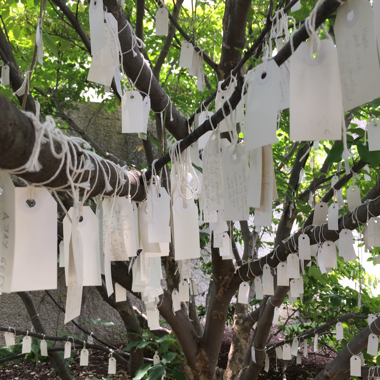 Wish Tree - Yoko Ono
