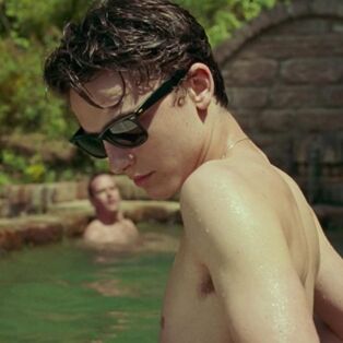 luca guadagnino's 'call me by your name'