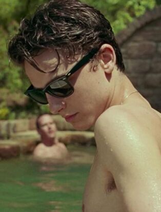 luca guadagnino's 'call me by your name'