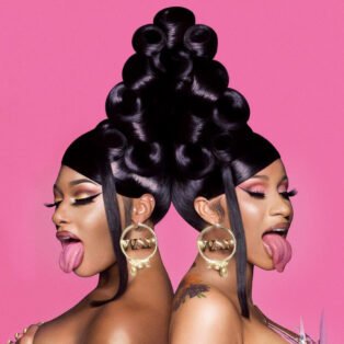 cardi b megan thee stallion wap