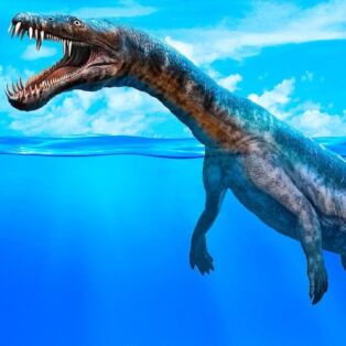 At War with the dinosaurs