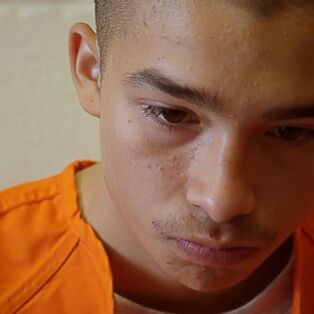 THEY CALL US MONSTERS