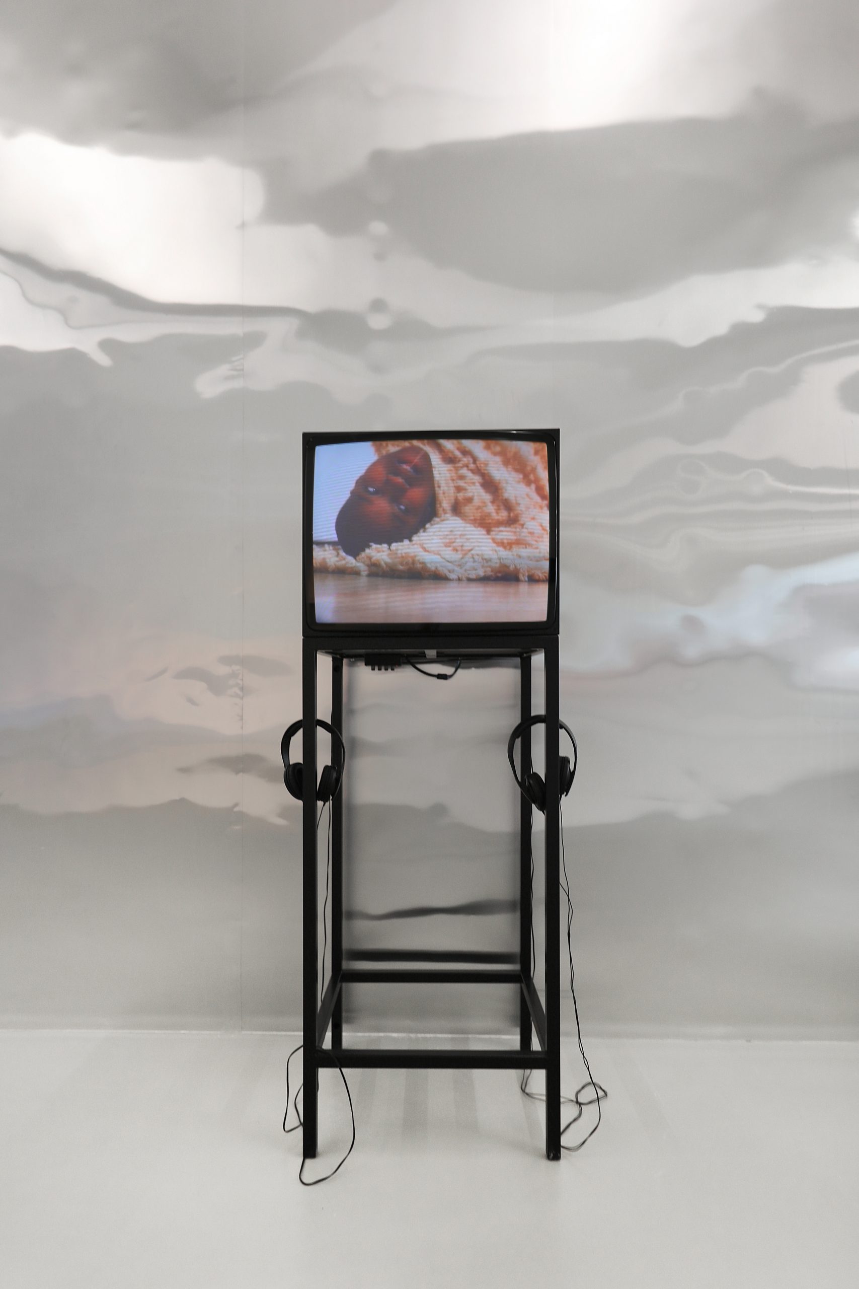 Dana Michel and Tracy Maurice installation