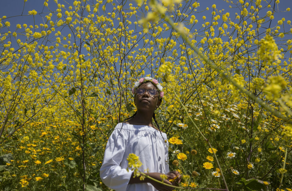 a love song for latasha