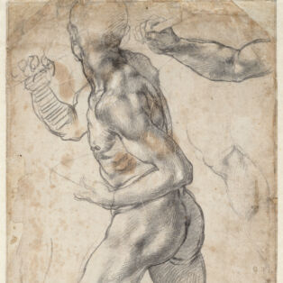 Striding Male Nude, and Anatomical Details, 1504 or 1506, Michelangelo Buonarroti