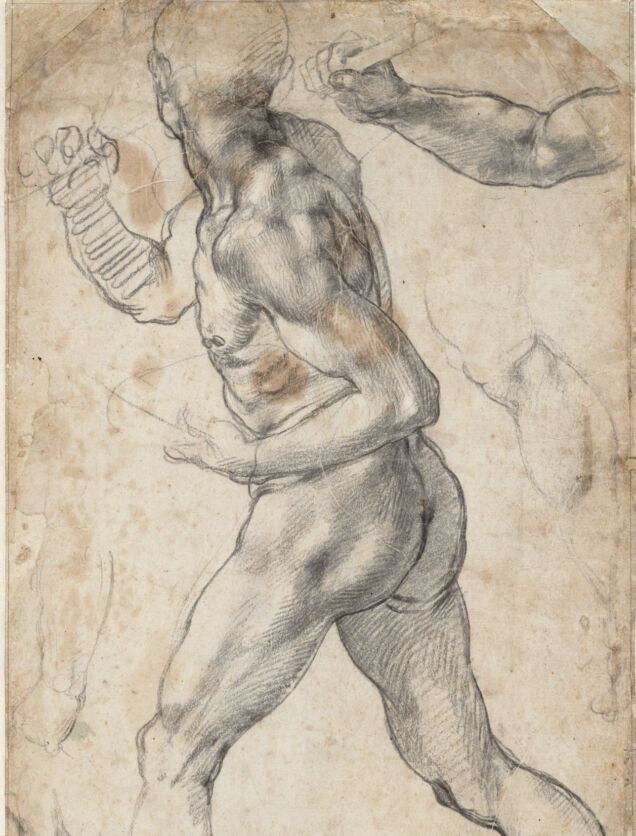Striding Male Nude, and Anatomical Details, 1504 or 1506, Michelangelo Buonarroti