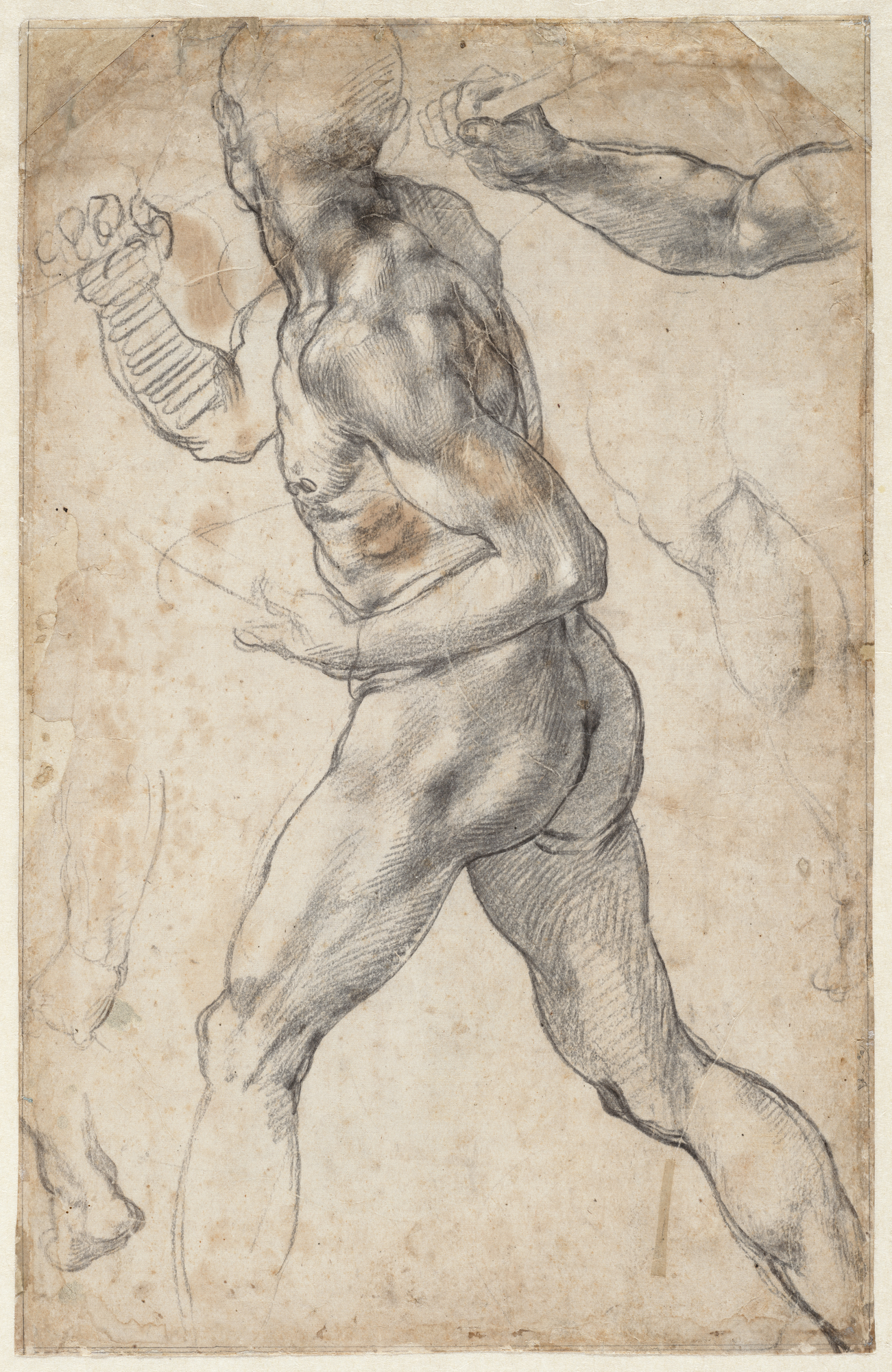 Striding Male Nude, and Anatomical Details, 1504 or 1506, Michelangelo Buonarroti