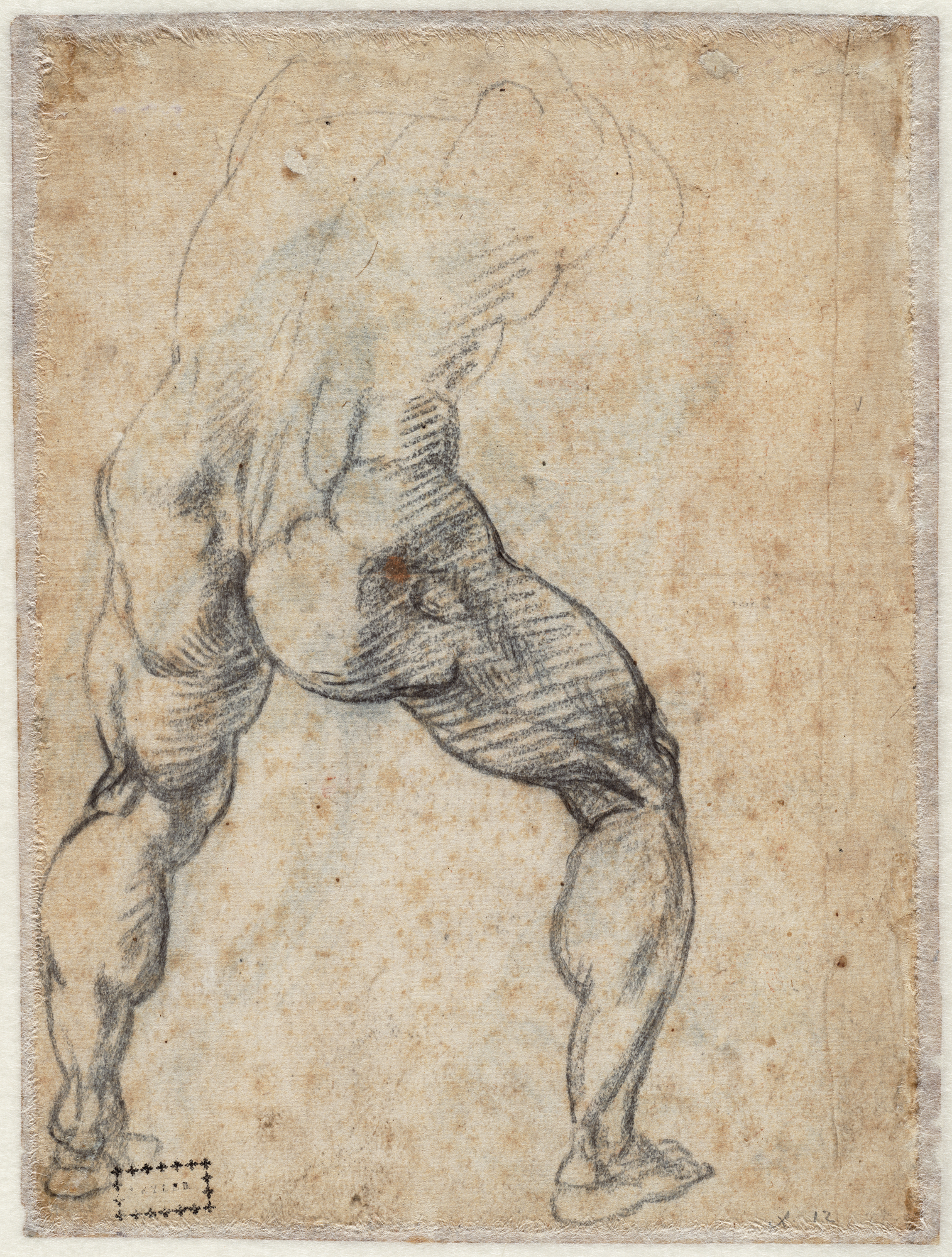 Male Nude, Seen on the Back