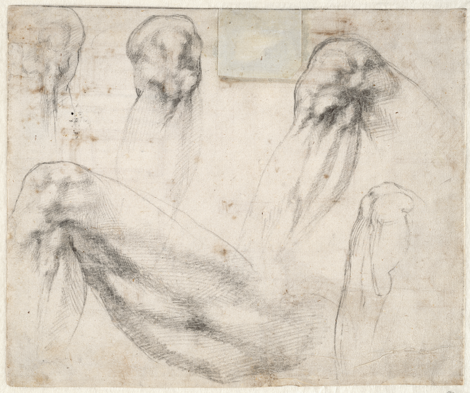 Studies of a left leg and four studies of a knee