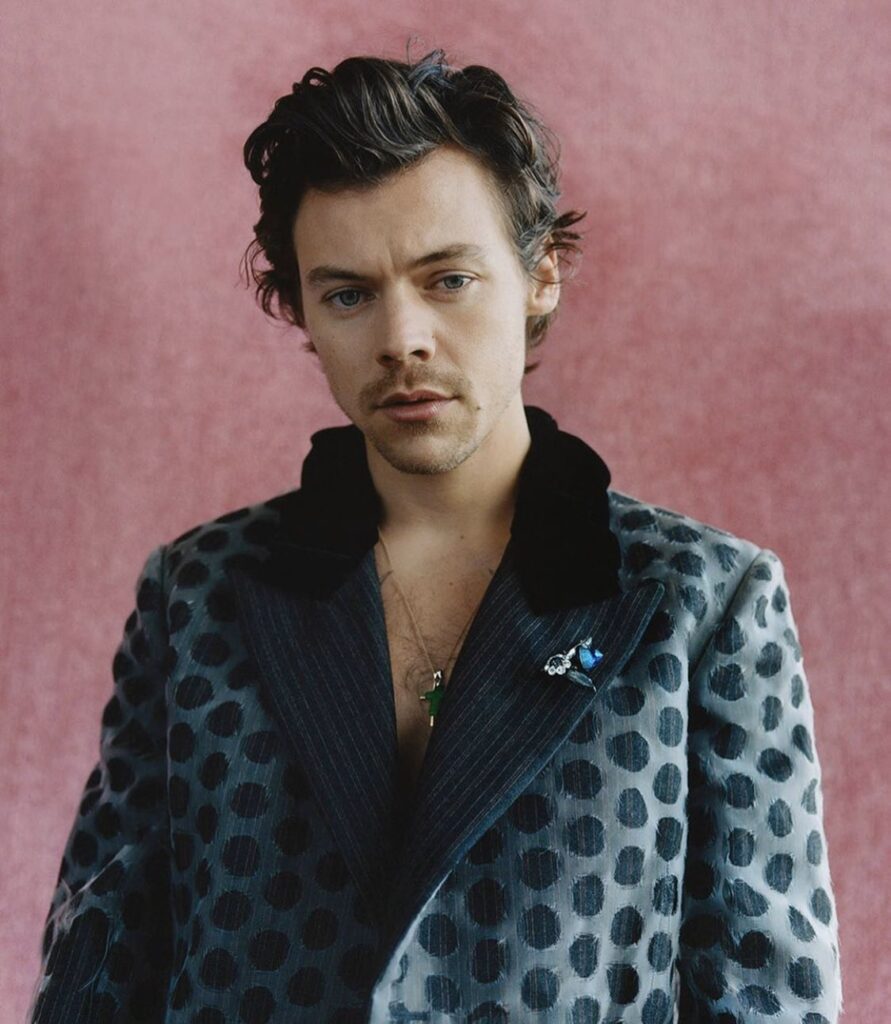 harry styles