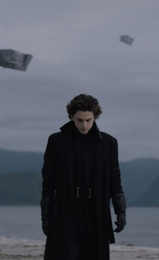 Timothee chalamet