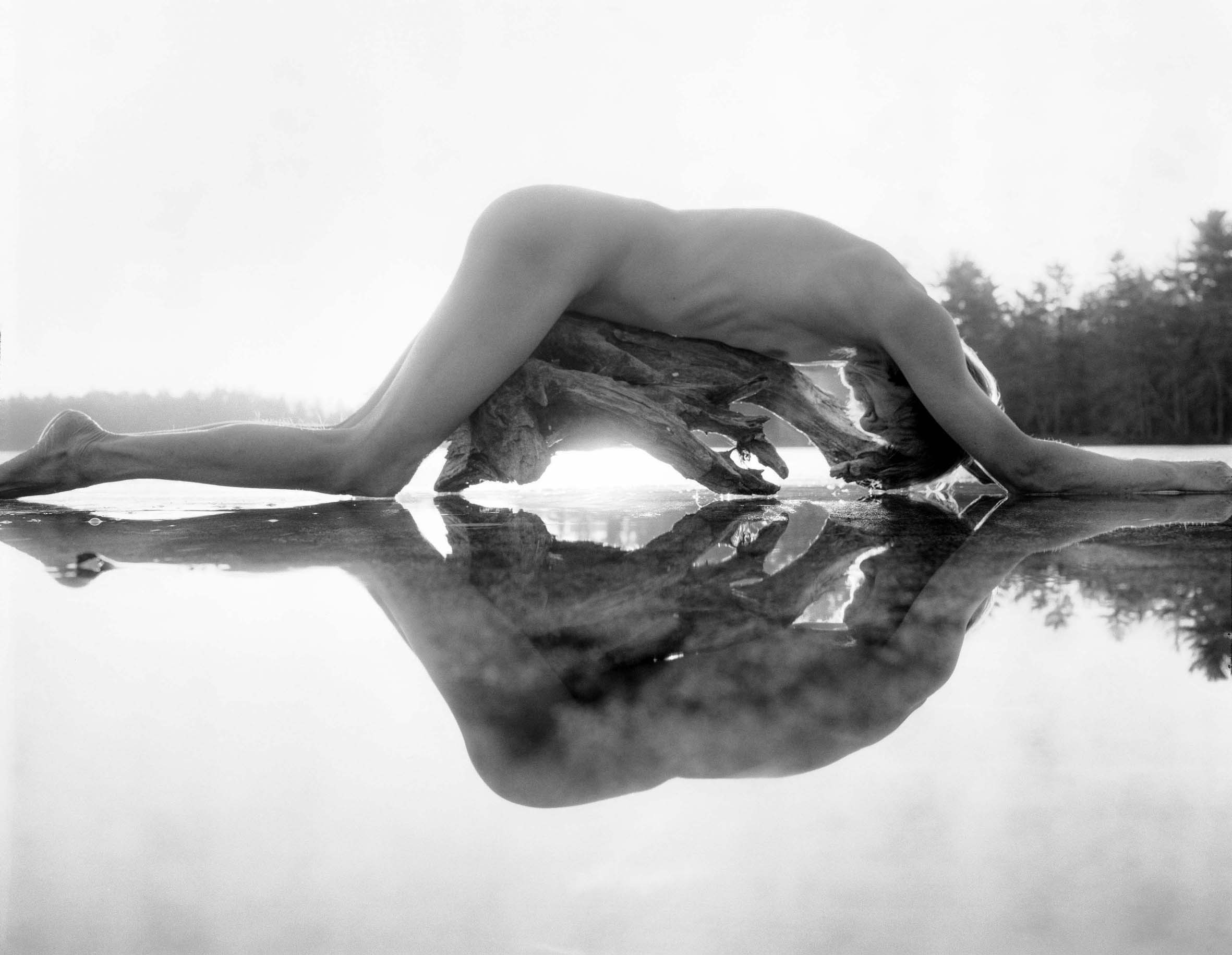 6 Fosters Pond, 2011 © Arno Rafael Minkkinen