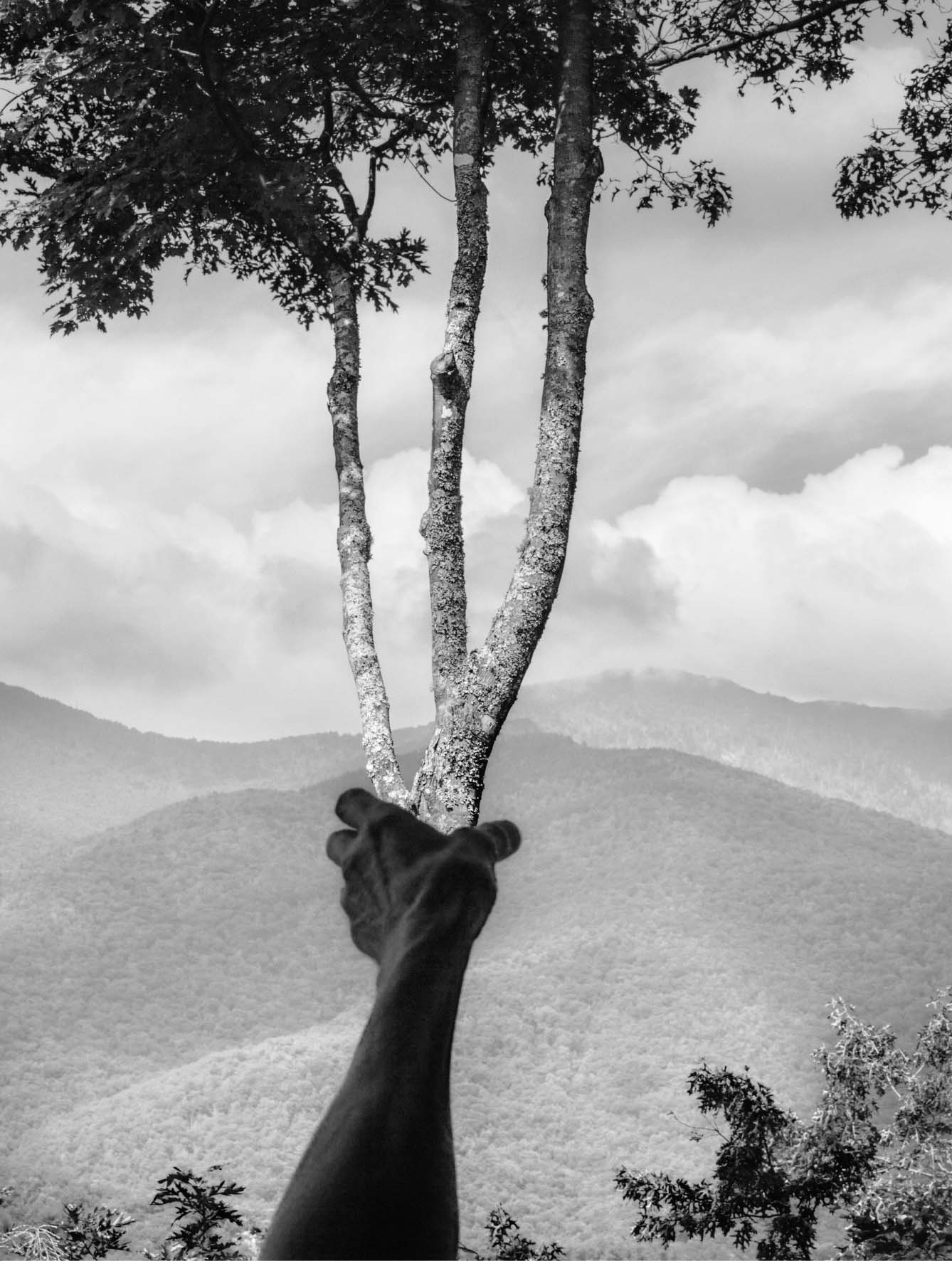 Halfway Up Mt. Mitchell, Burnsville, North Carolina, 2013 © Arno Rafael Minkkinen