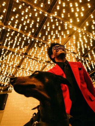 the weeknd