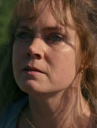 amy adams hillbilly elegy