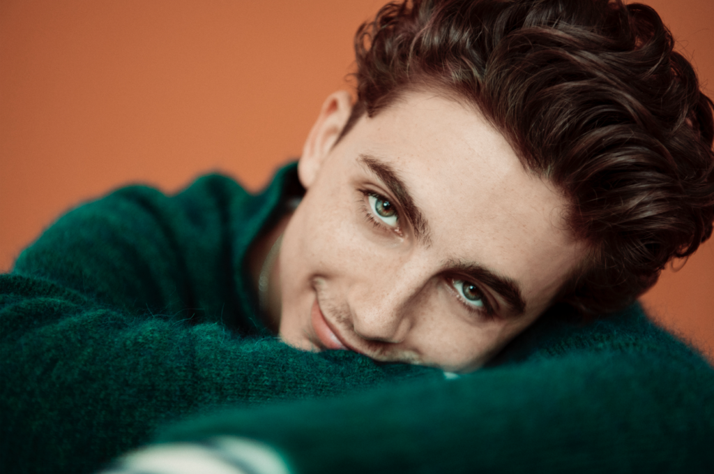 timothee chalamet