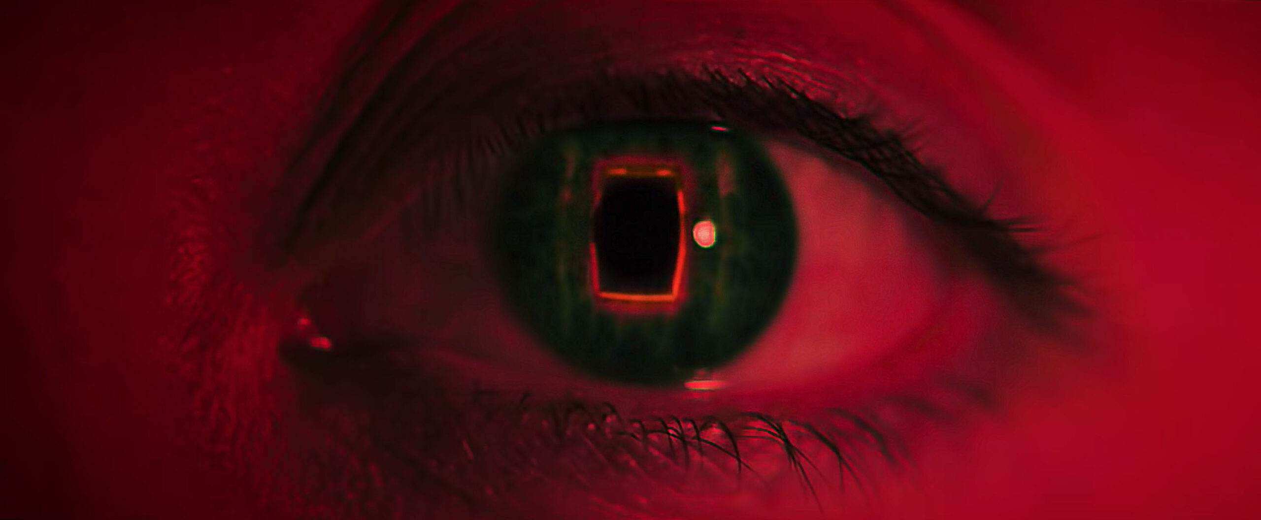 welcome to the blumhouse