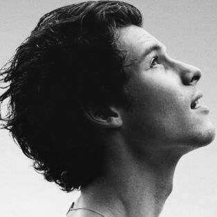 shawn mendes