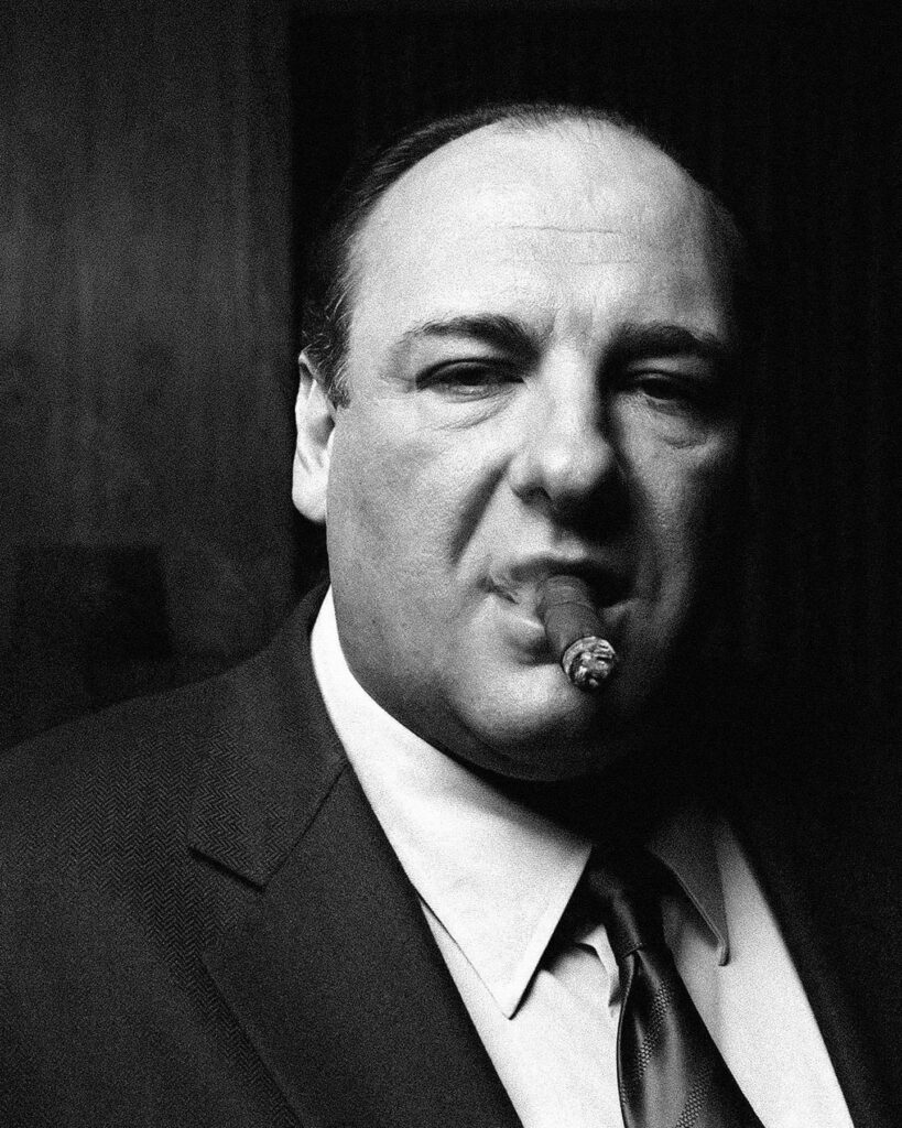 James Gandolfini in The Sopranos
