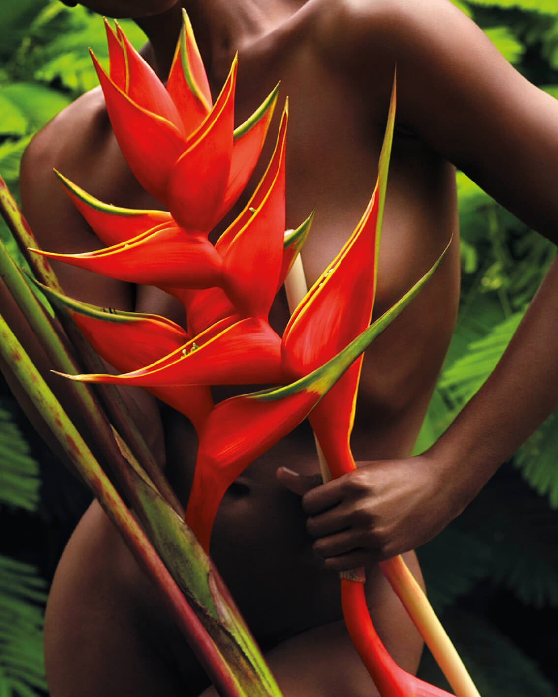 David LaChapelle from the 2021 Lavazza Calendar