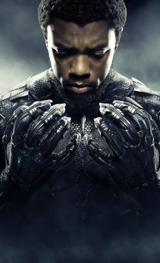 chadwick boseman black panther