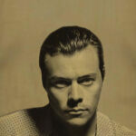 harry styles don't worry darling