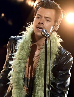 harry styles