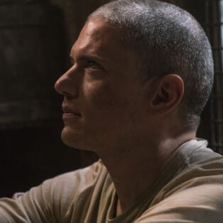 wentworth miller prison break