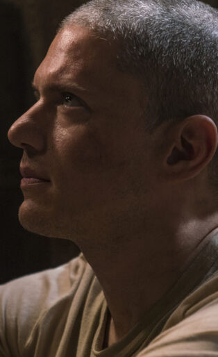 wentworth miller prison break