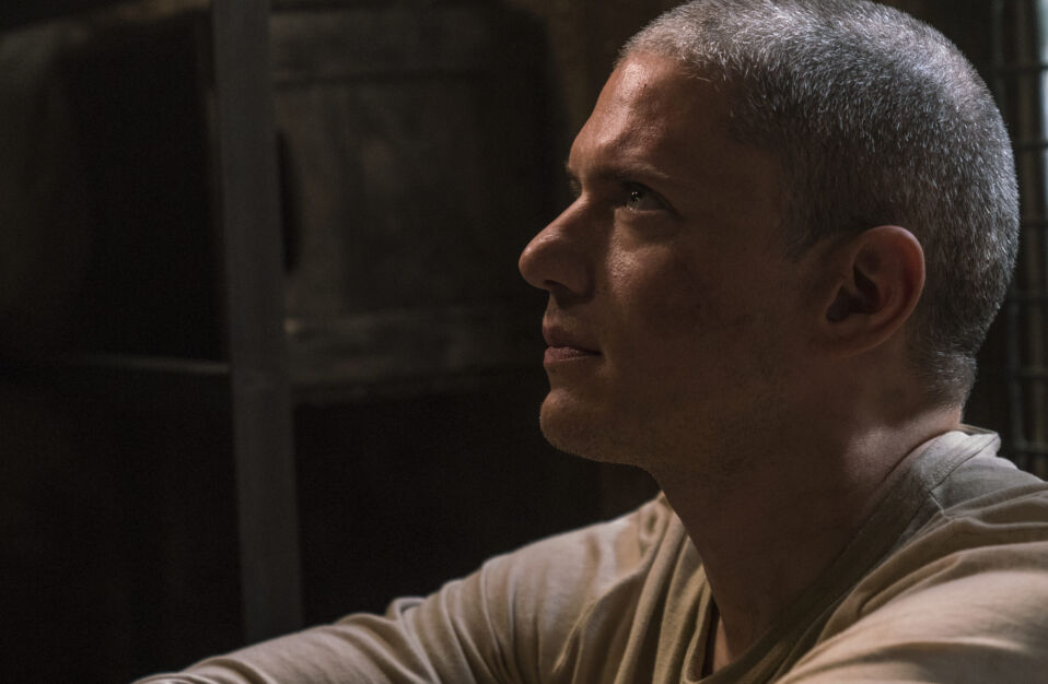 wentworth miller prison break